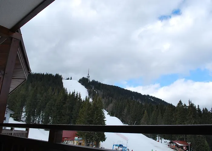 Aparthotel Spider House